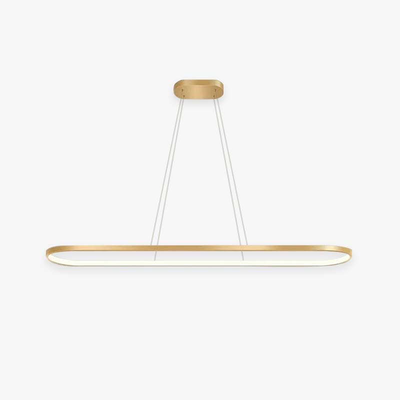 Avenor Minimalist Oval Interior Hanging Pendant Light