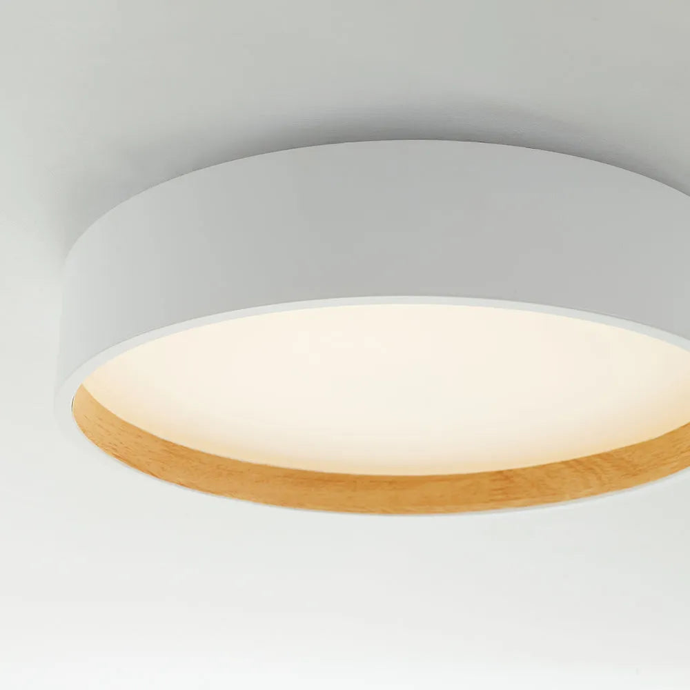 Vexa Ceiling Light