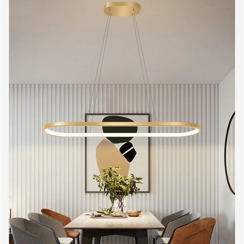 Avenor Minimalist Oval Interior Hanging Pendant Light